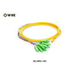 Pigtail 12 Core SC/APC SM 0.9mm ยาว 1.5 เมตร Pigtail 12 Core SC/APC SM 0.9mm ยาว 1.5 เมตร